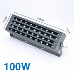 Đèn cầu vồng chiếu cây SLCCV2